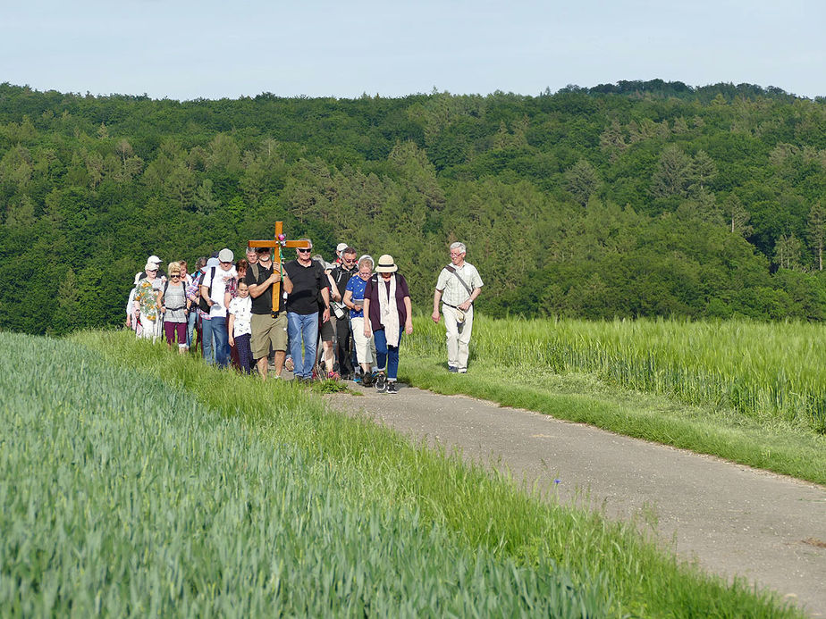 Baunataler Wallfahrt zur Naumburger Fatima Grotte (Foto: Karl-Franz Thiede)